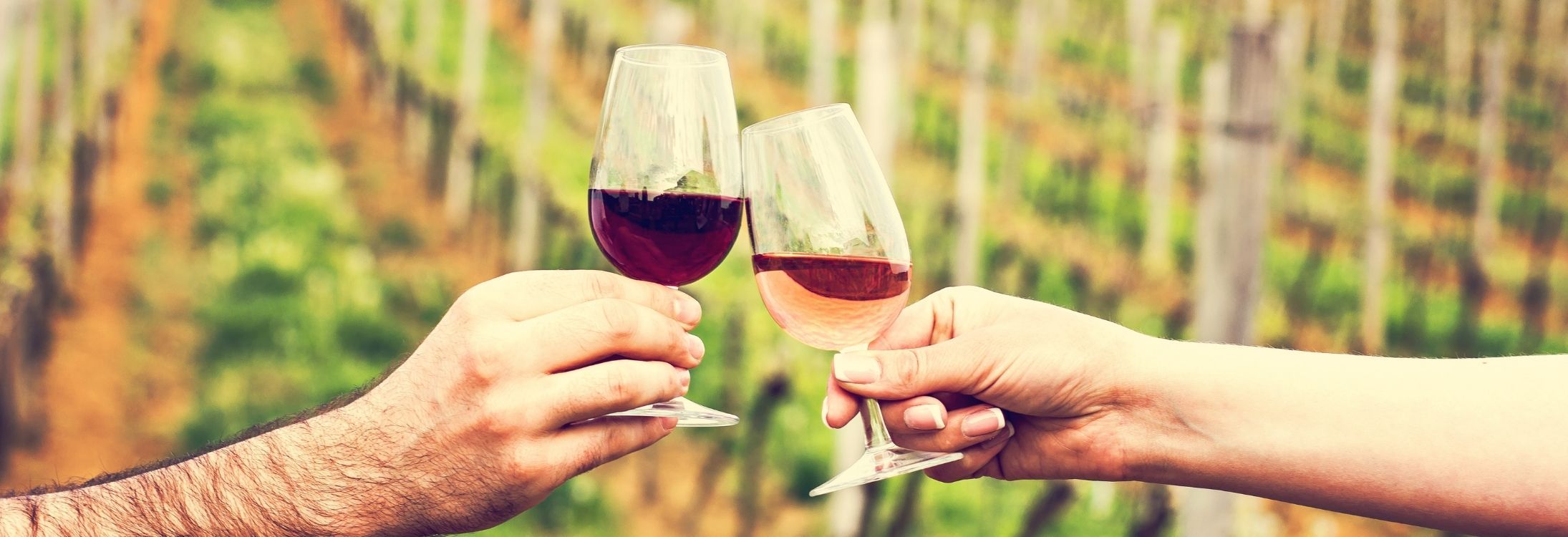 8 Places Every Wine Lover Needs To Visit