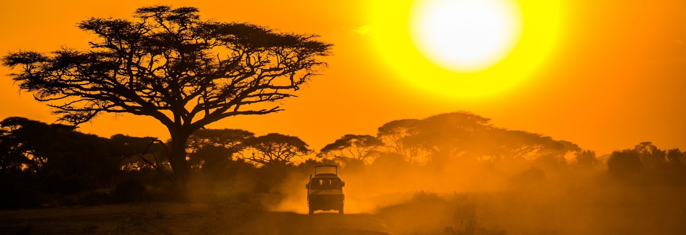 10 Insider tips to ace your first jungle safari