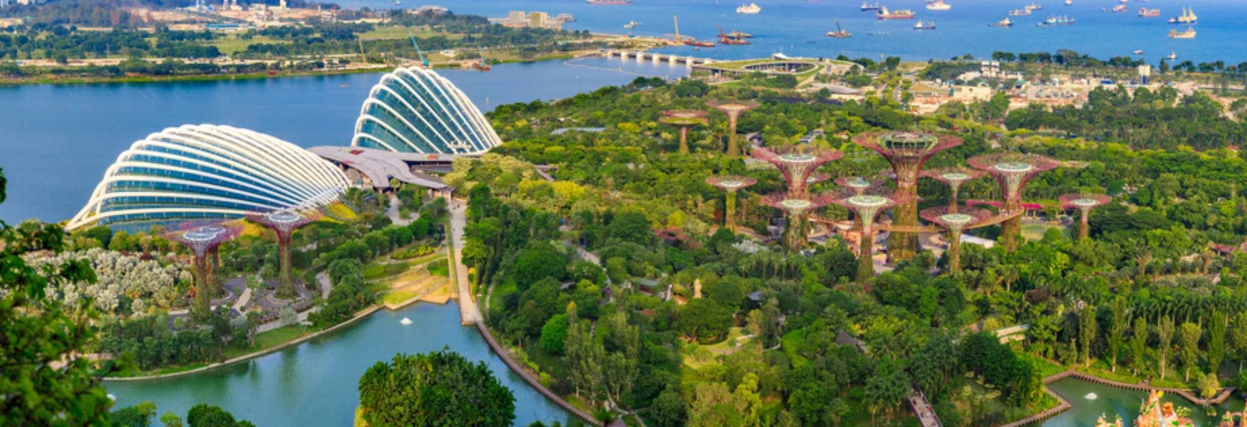 The wonder gardens of Singapore