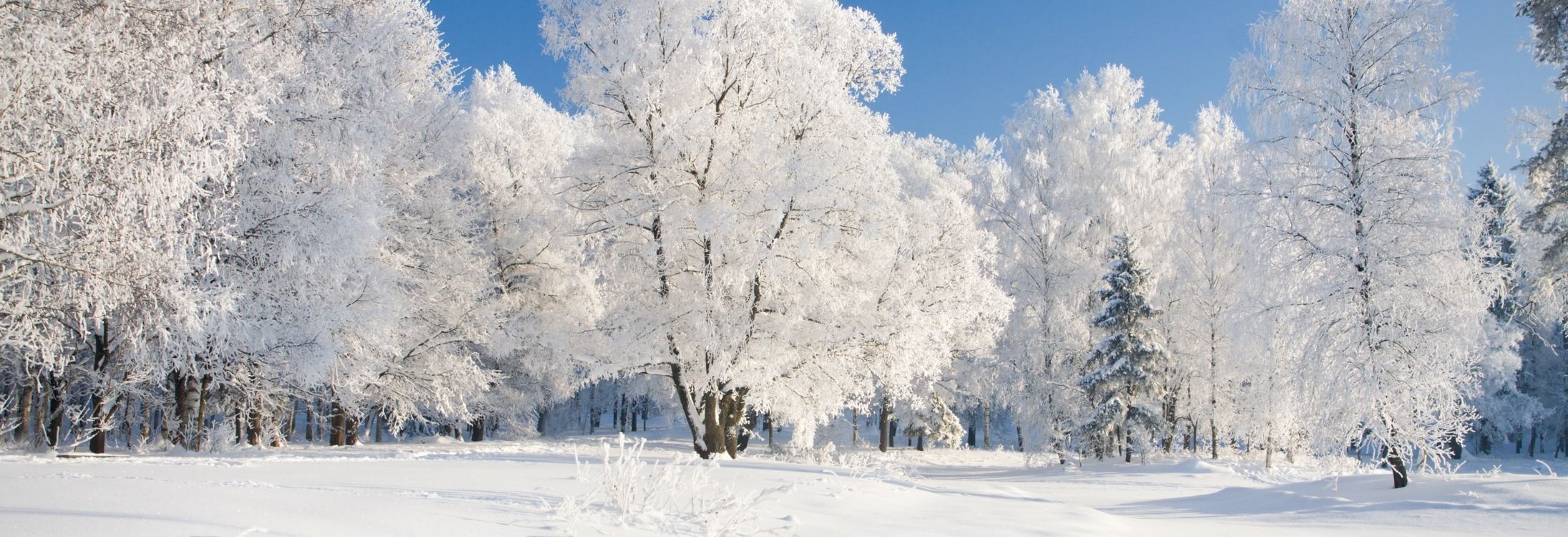 Little Ice age