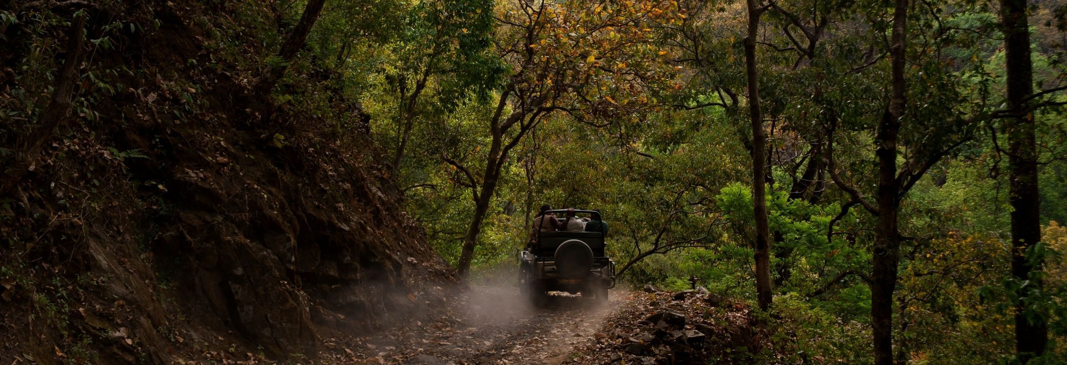 4 Unbeatable Safari holidays in India