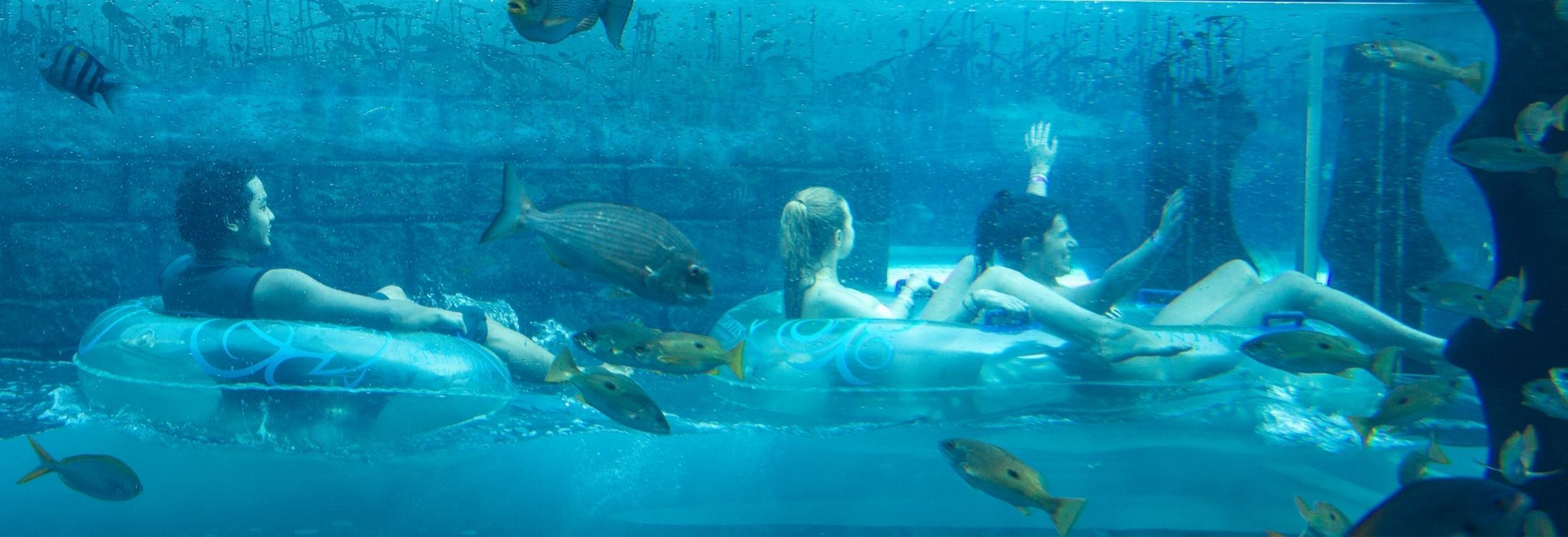 Cool Places to Visit in Hot Dubai