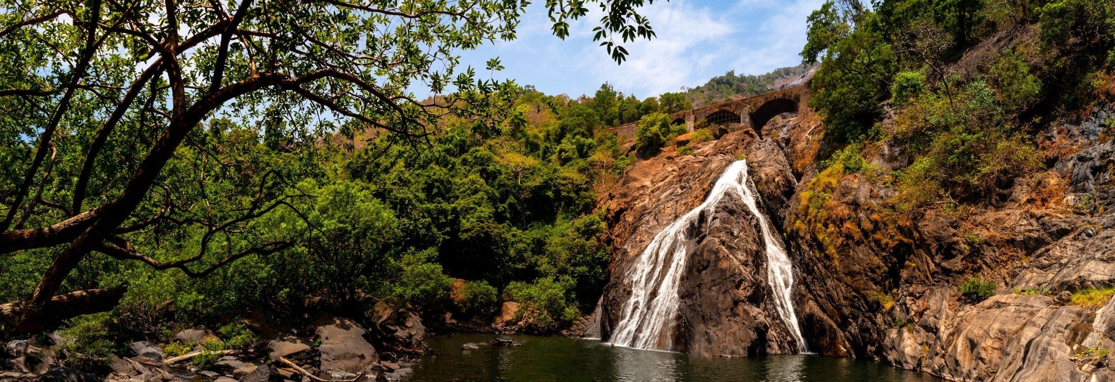 Dudhsagar trek