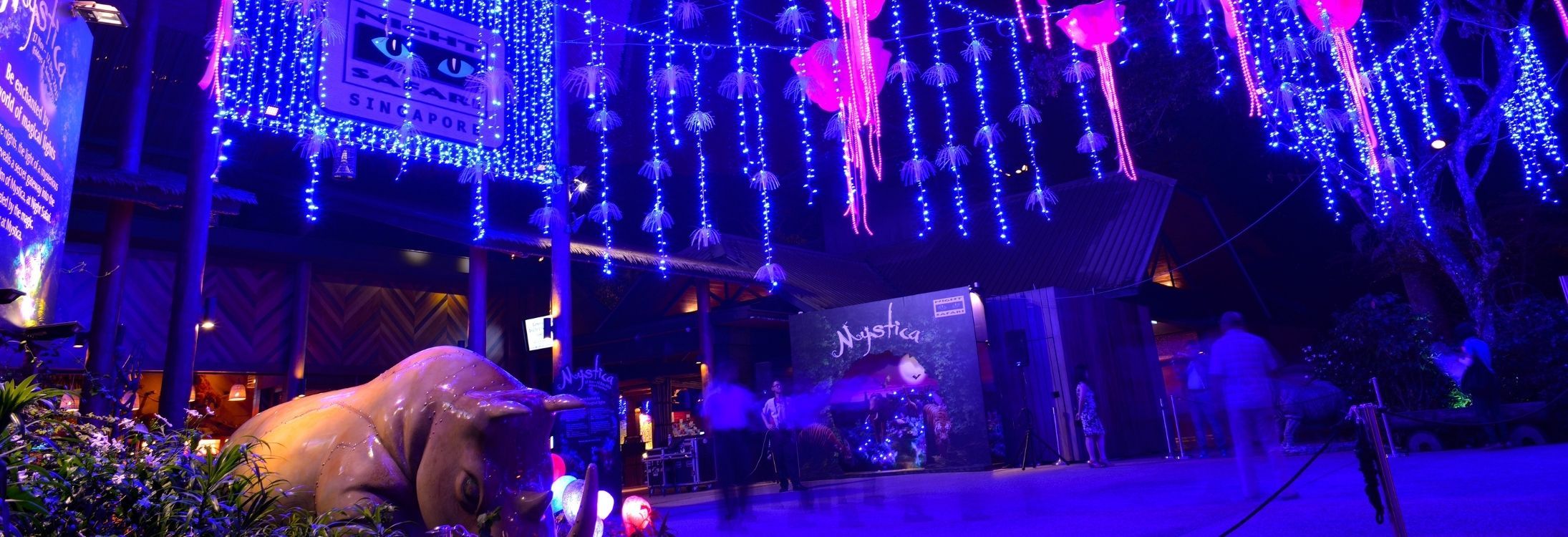 Discover a unique Night Safari in Singapore