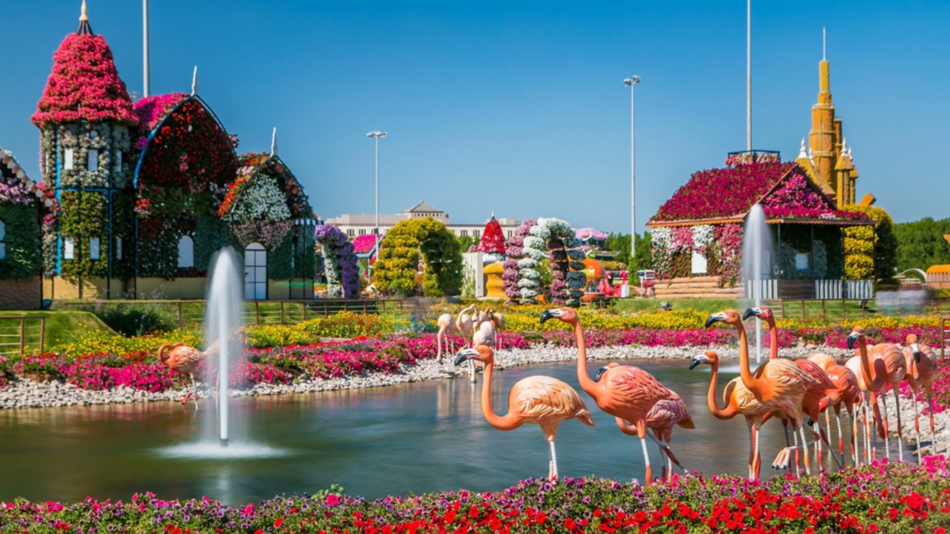 Lake with fountain and flamingo at Dubai miracle garden
