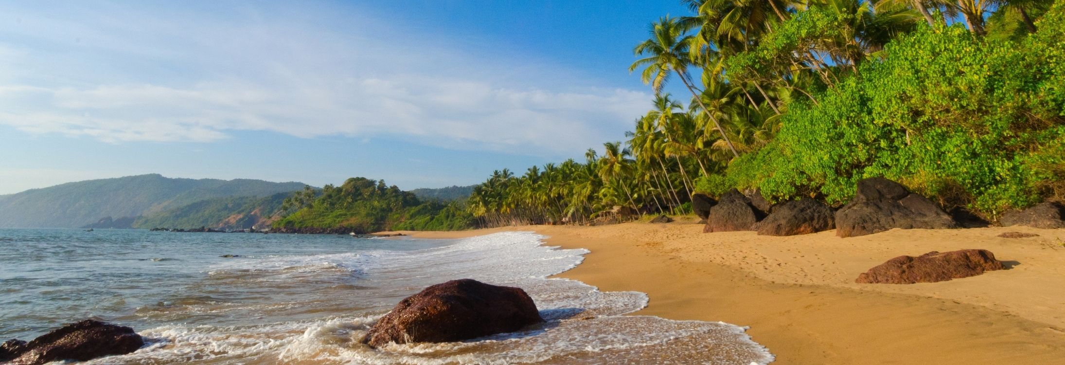 Things to do in Goa