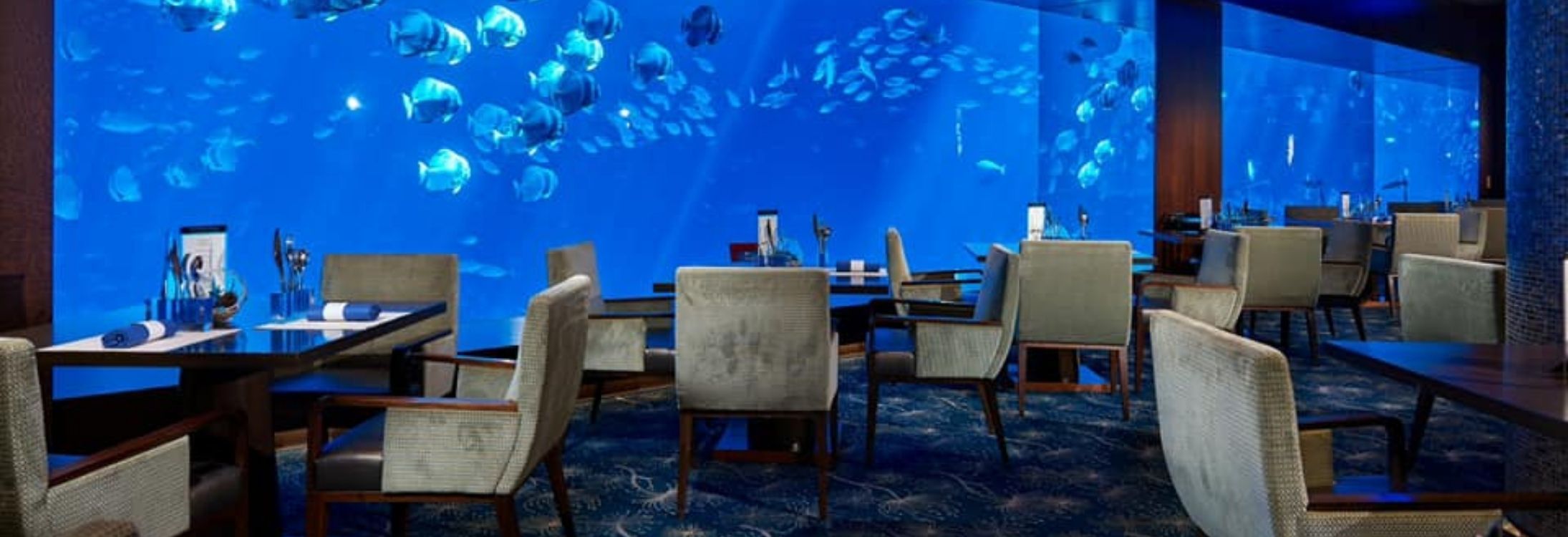 A Date With Fishes