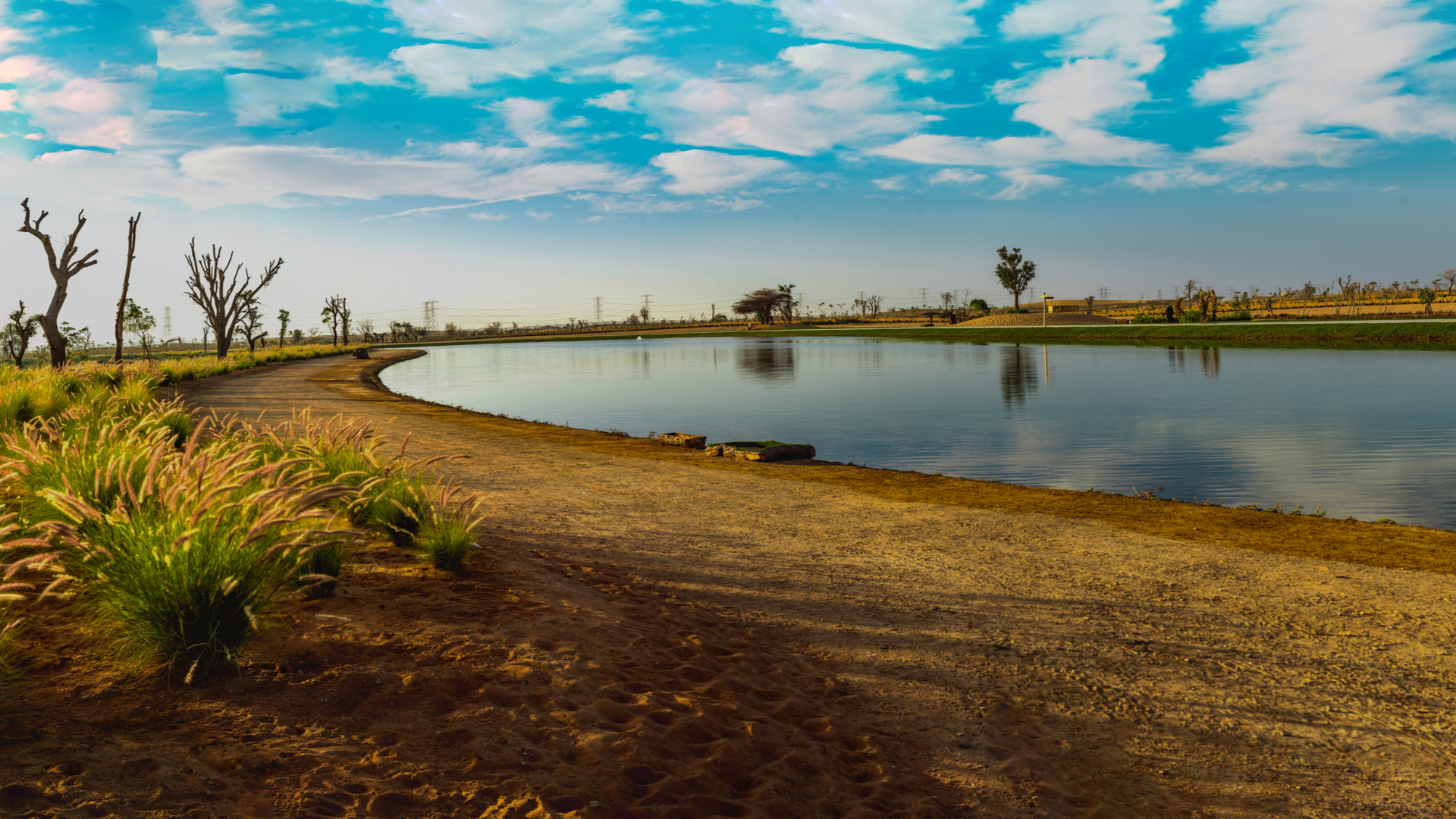 Al Qudra Lakes
