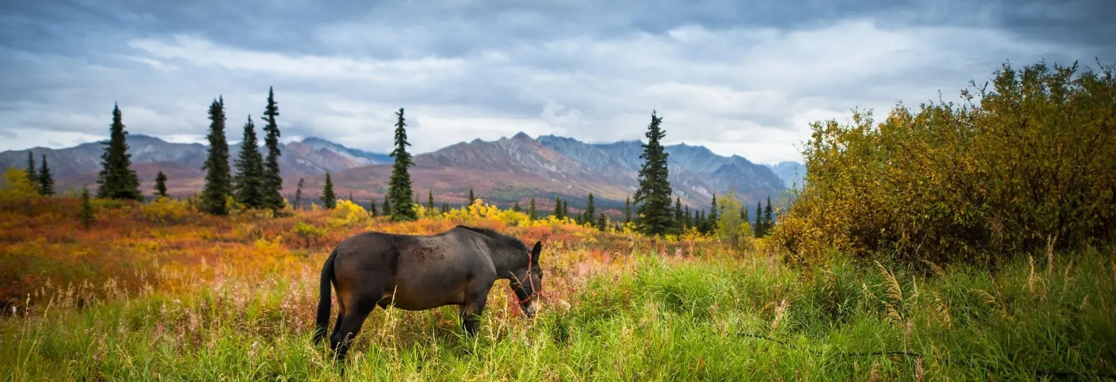 Alaska