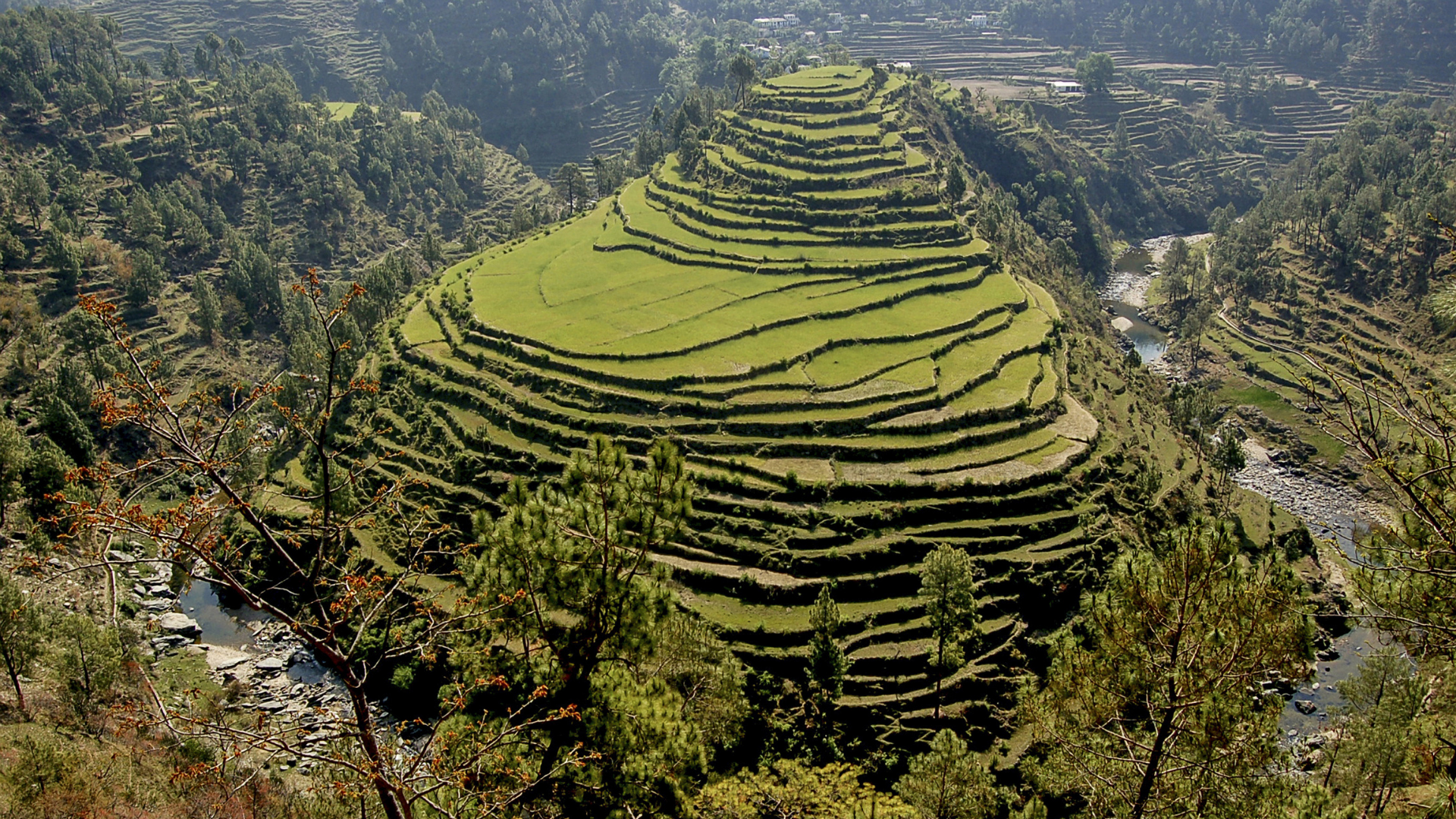 Almora