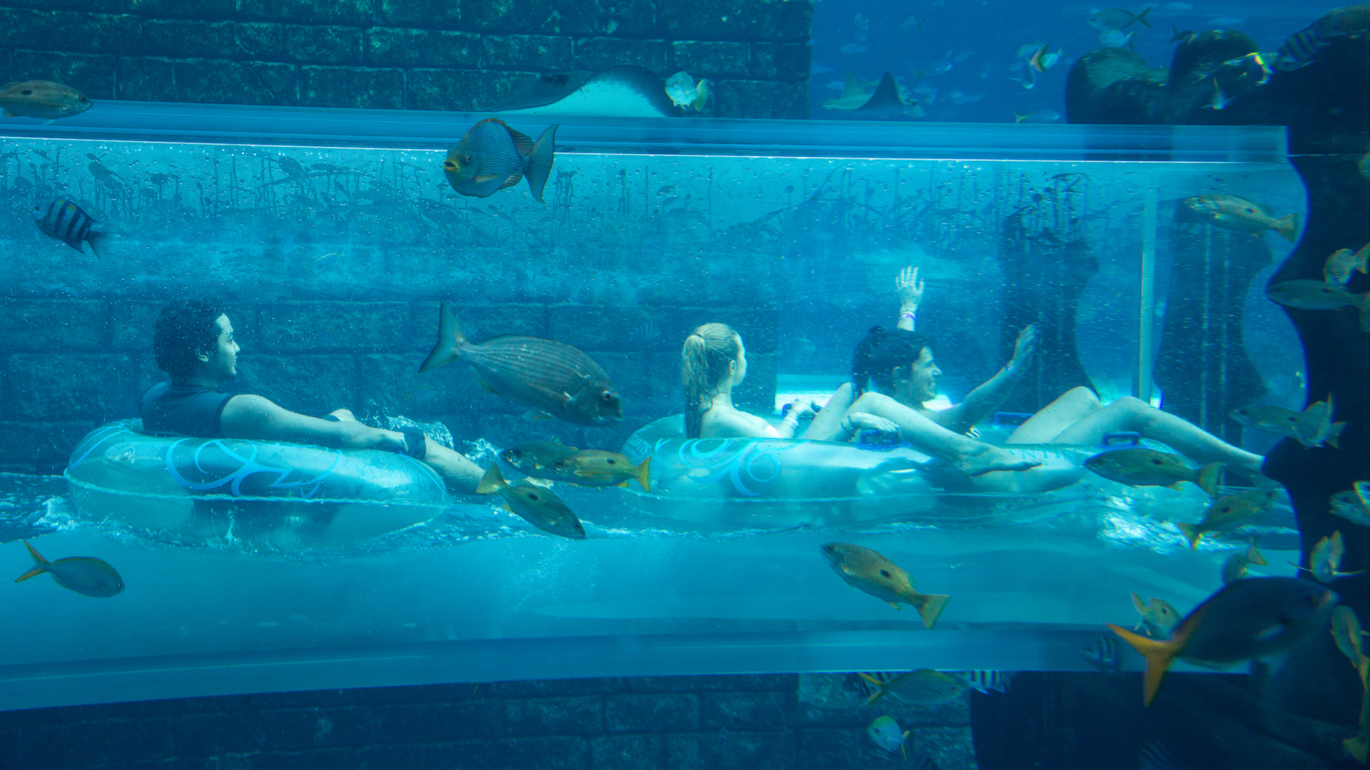 Aquaventure and The Lost Chambers
