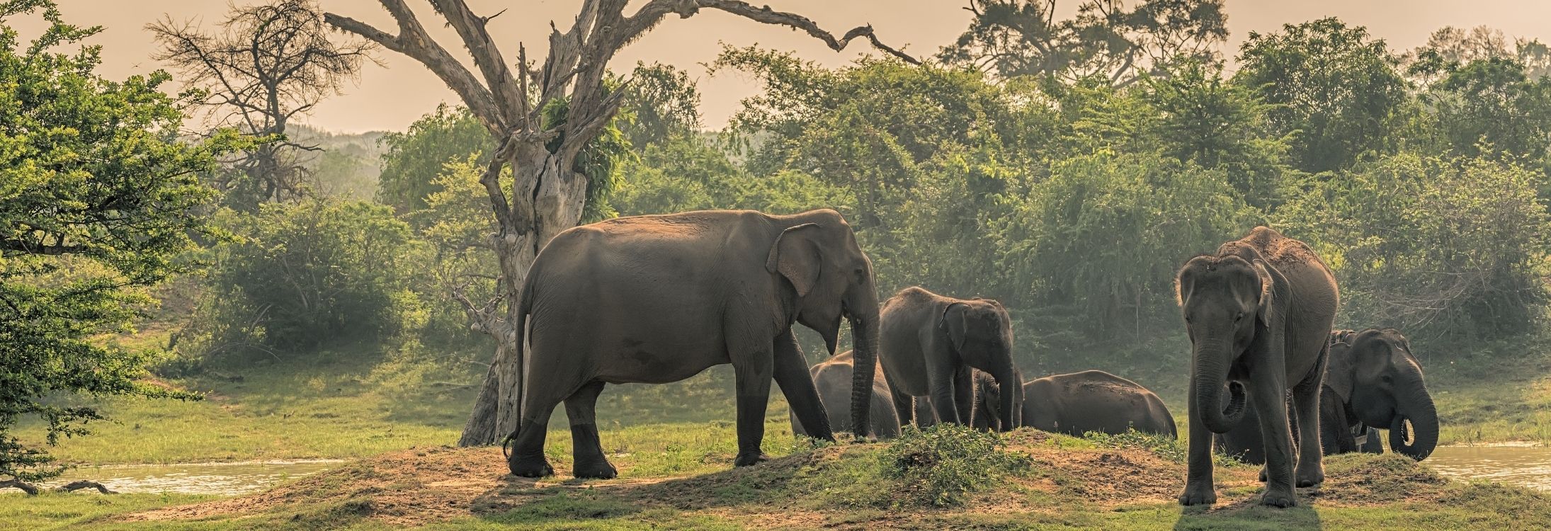Cities of Sri Lanka you must visit