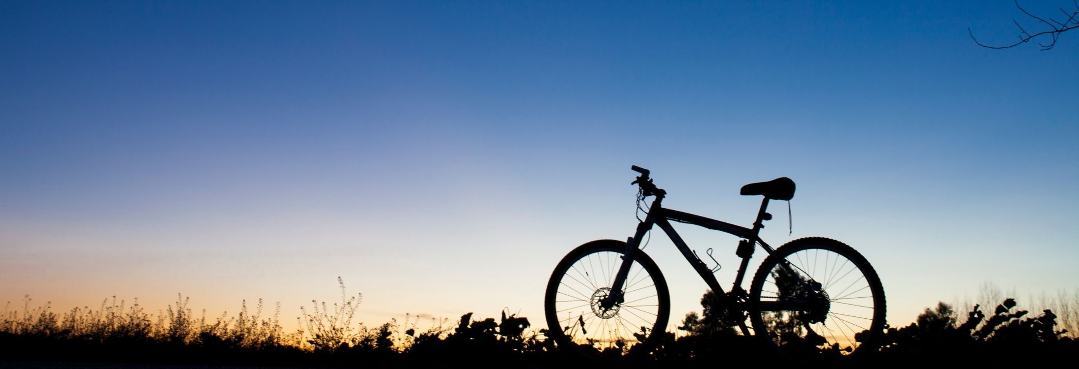 10 Most beautiful cycling routes in India