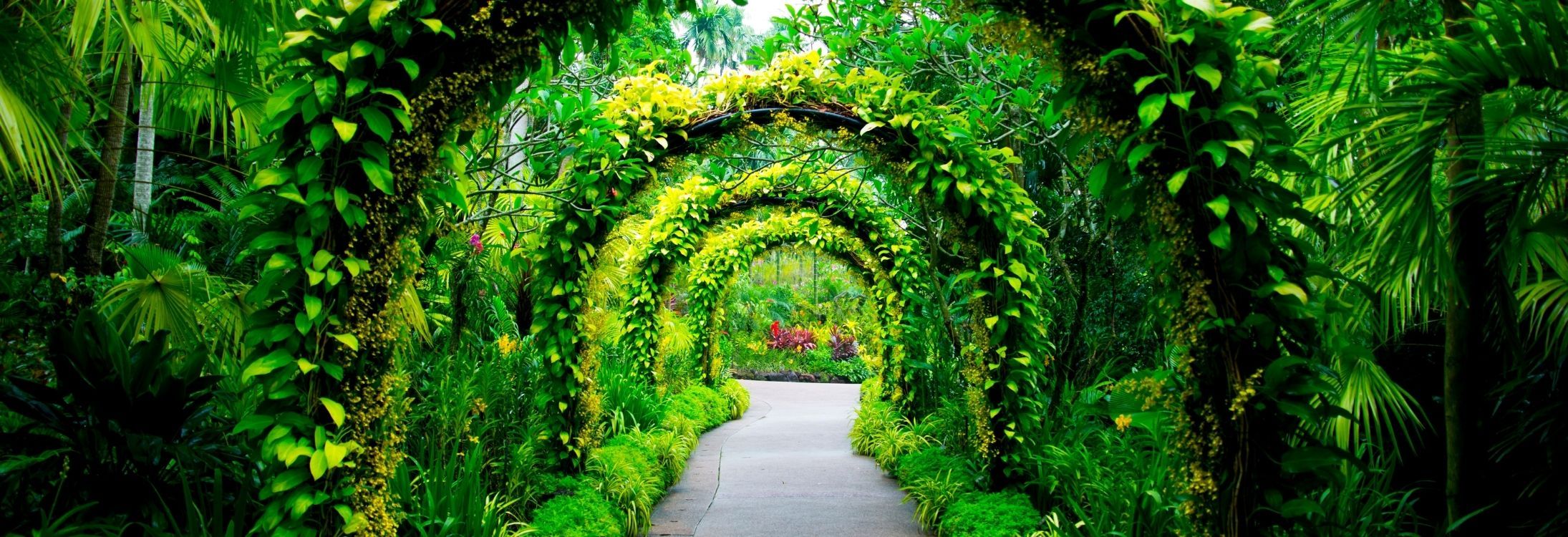 Botanic Gardens