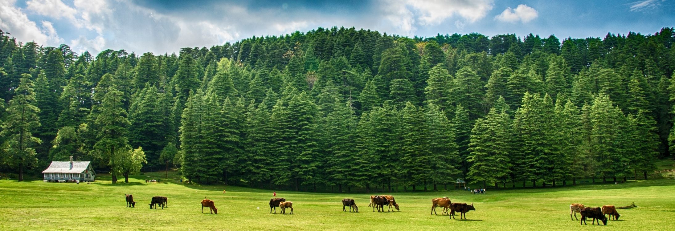Dalhousie