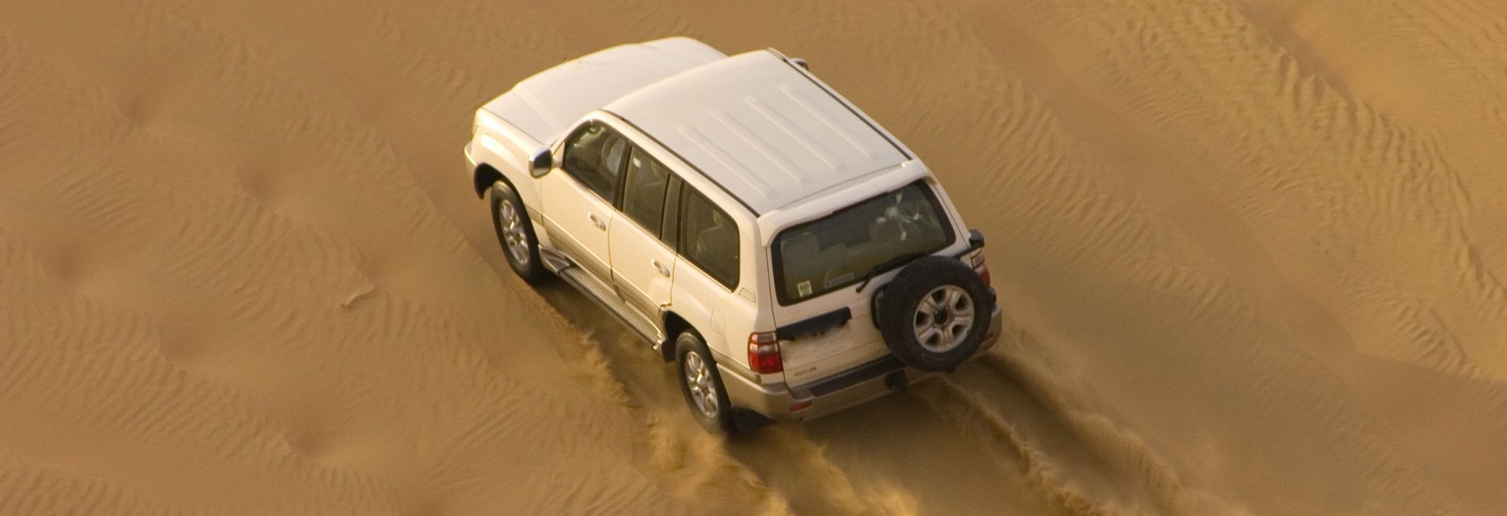 Dubai's Desert Safari
