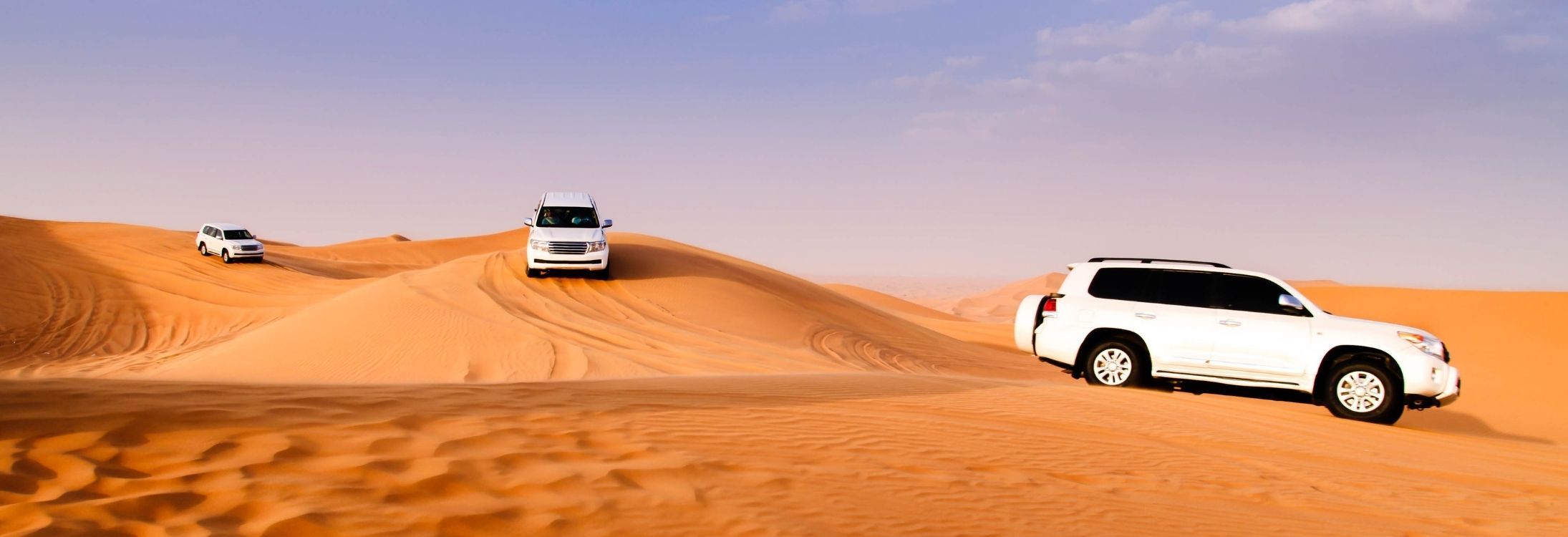 Dubai Desert Safari 