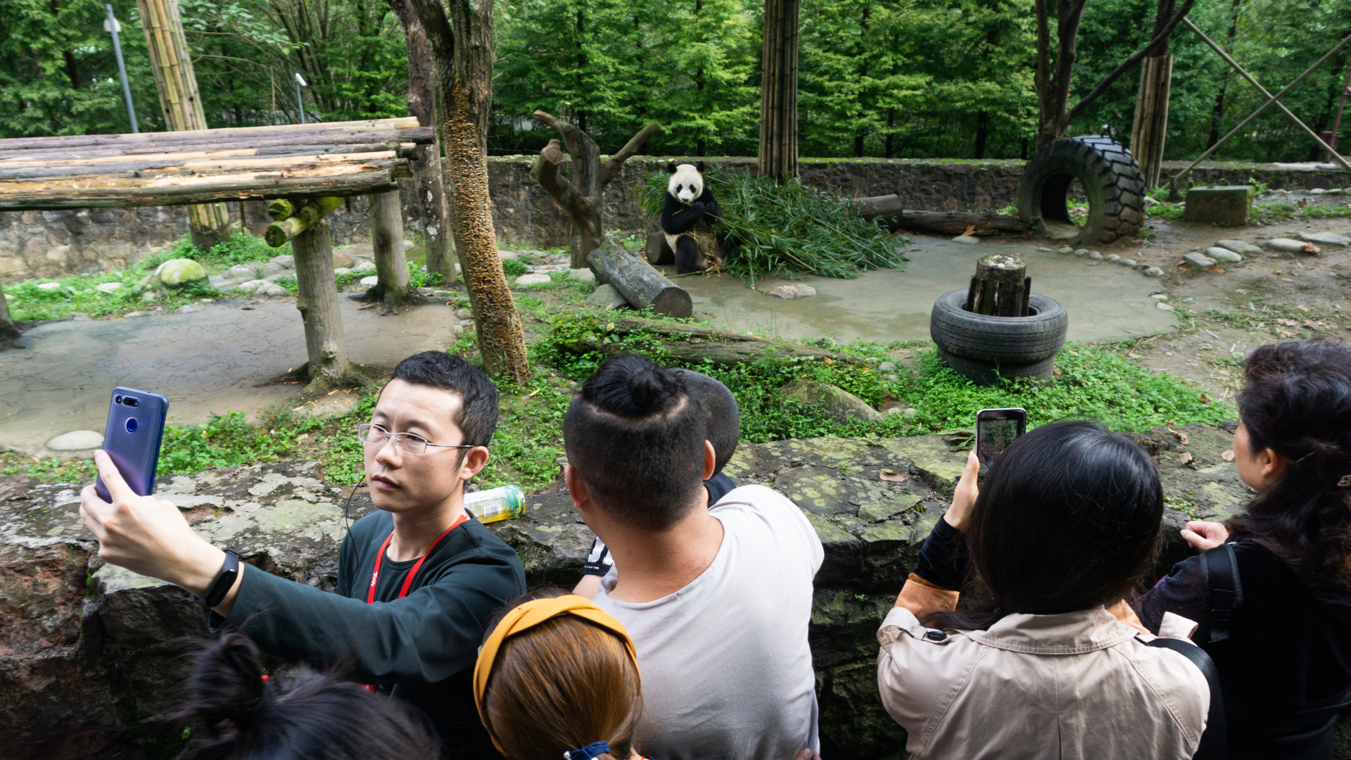Dujiangyan Panda Base, Dujiangyan, China