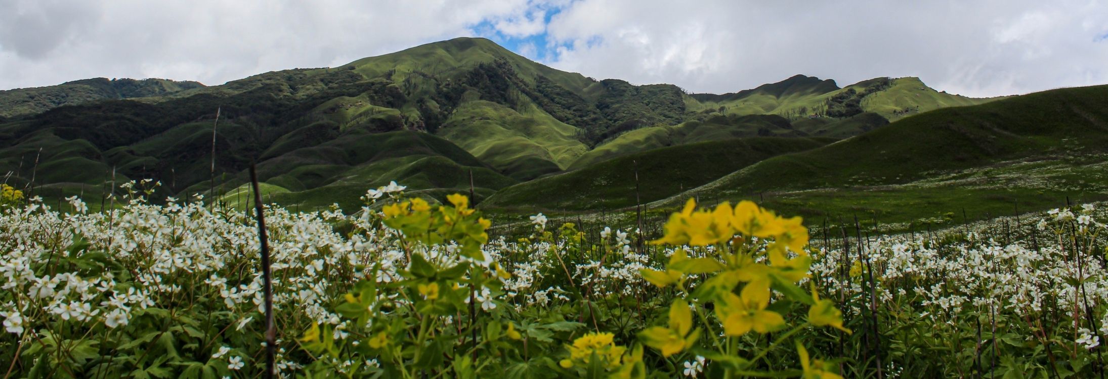 Dzukou Valley, Nagaland