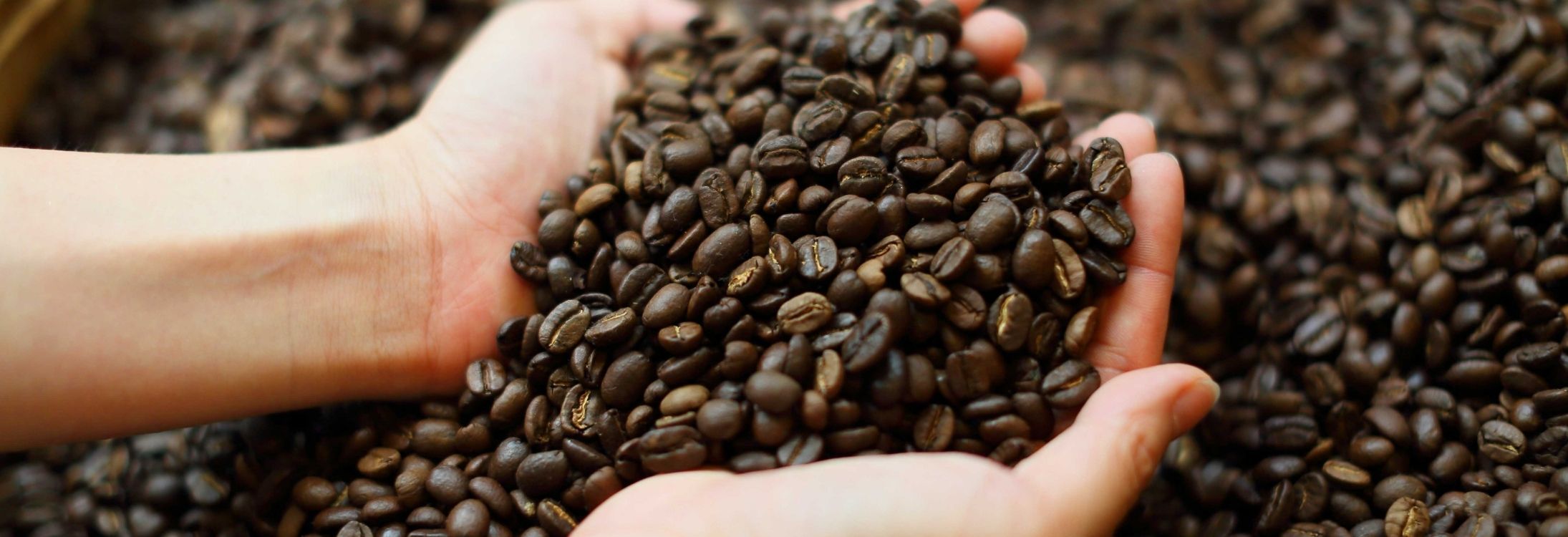 Elephant Dung Coffee