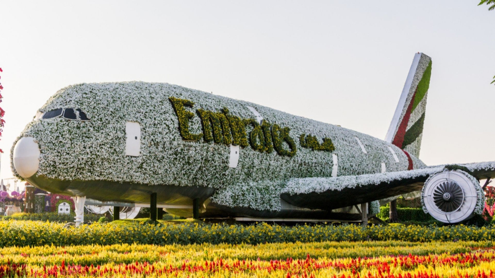 Emirates Aircraft