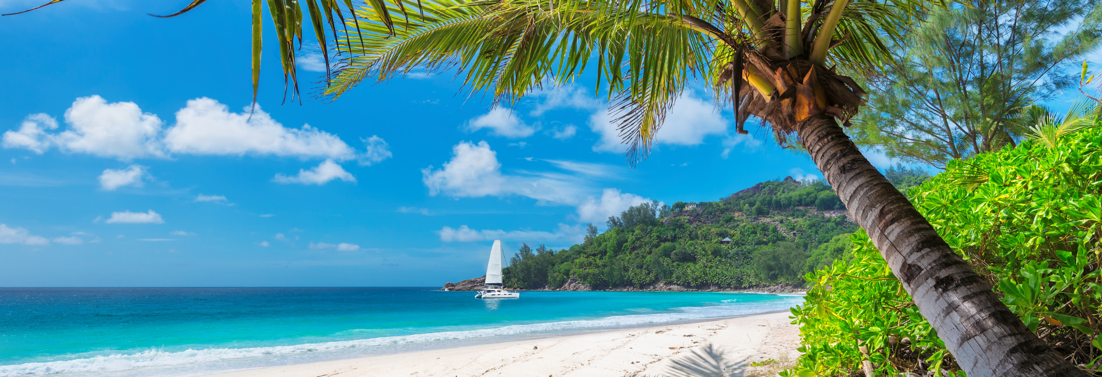 Fiji travel guide