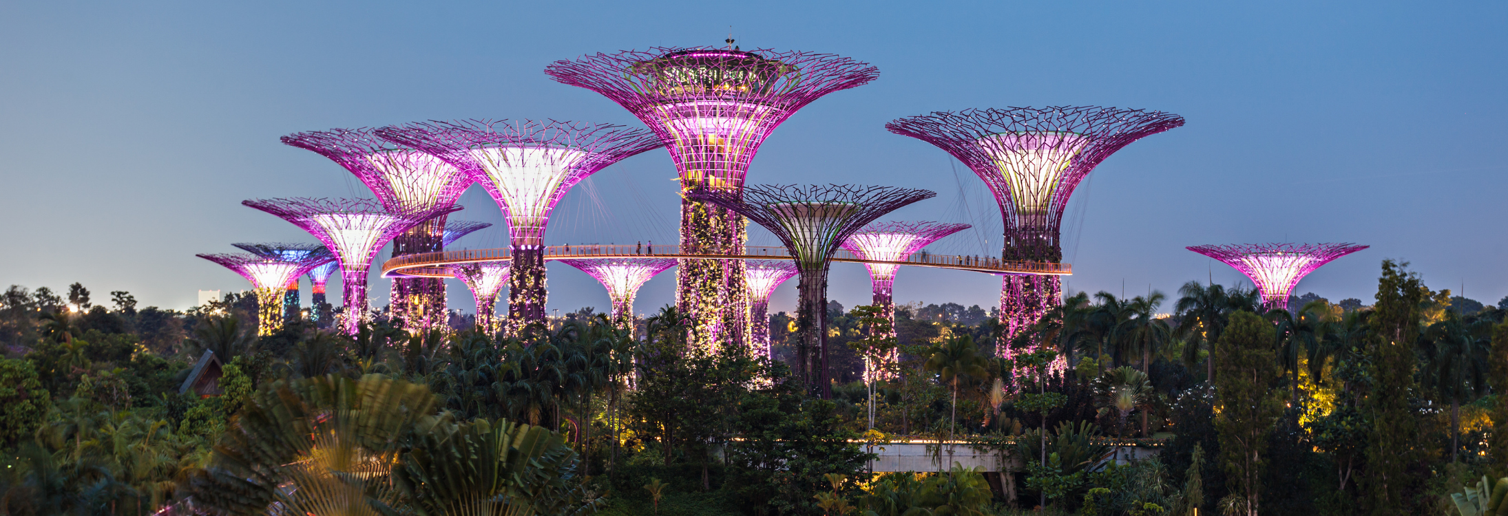 Gardens by the bay