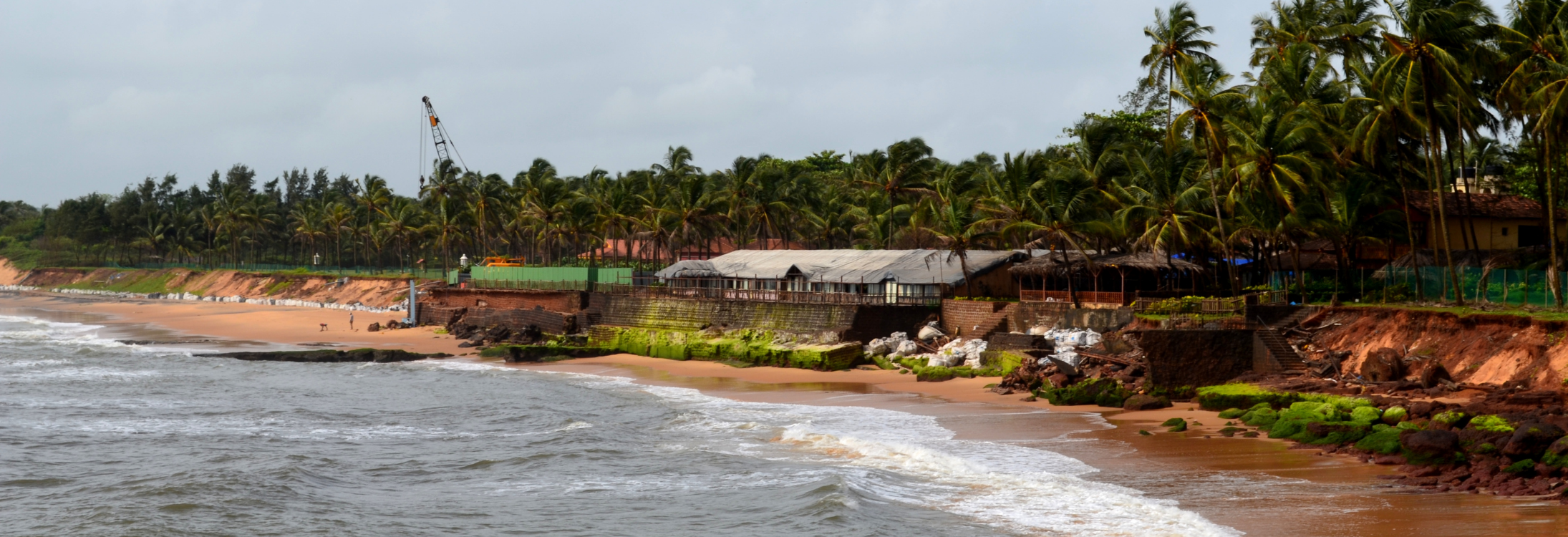 Go Goa Gone