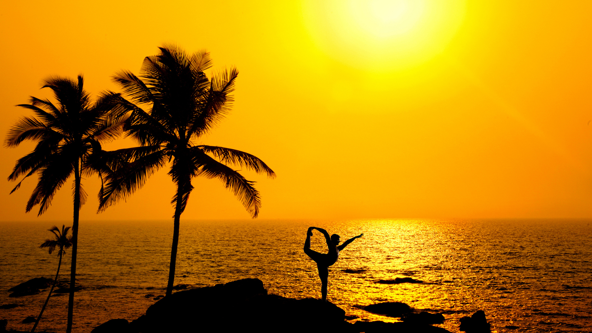 13. Goa