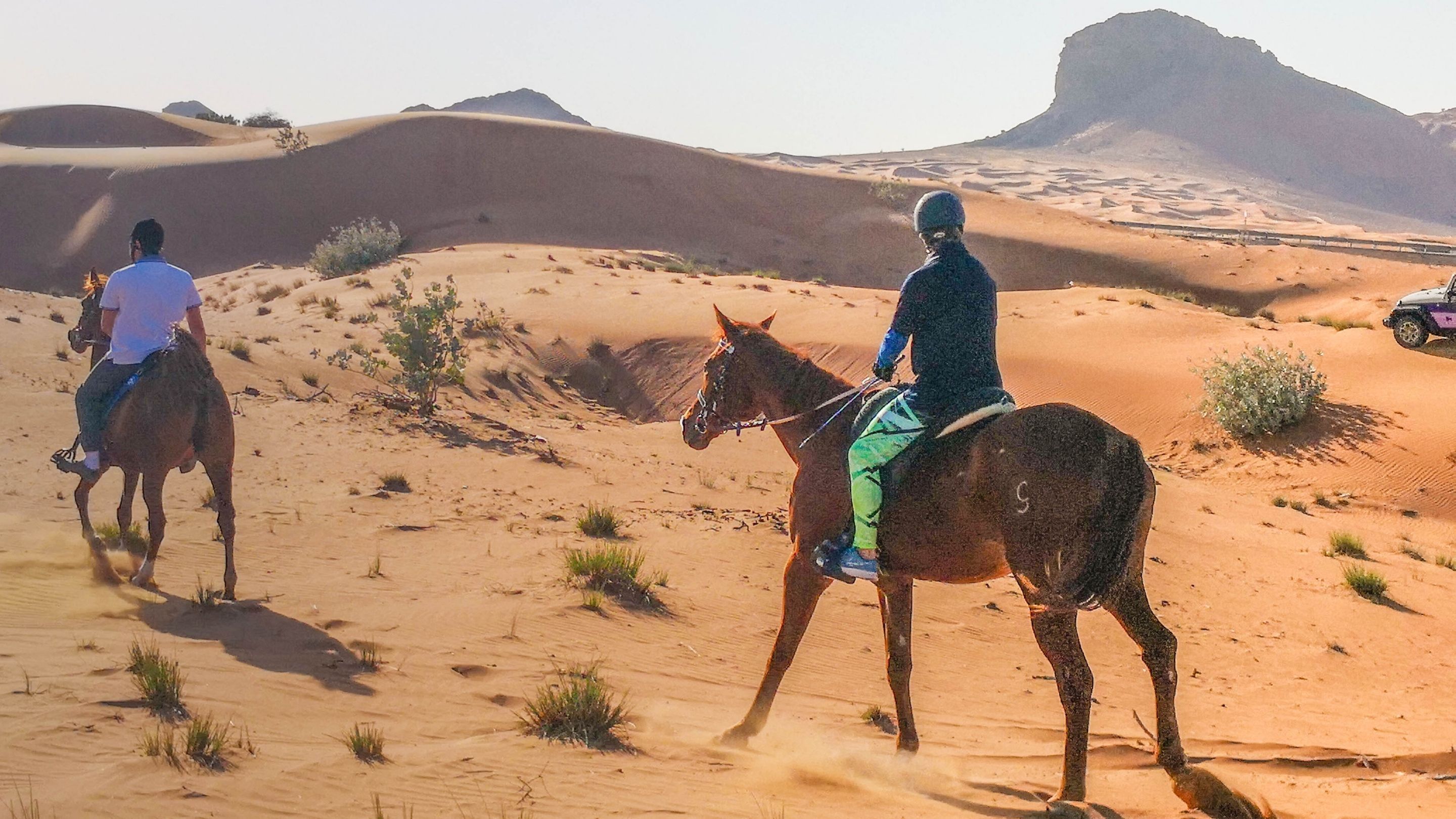 Horseback Riding Tours