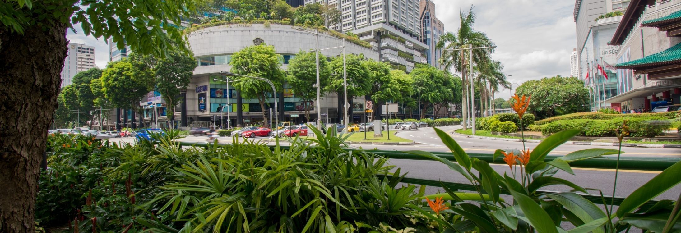 Ion Orchard singapore