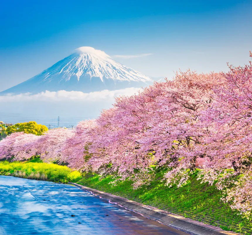 Japan — visa destination
