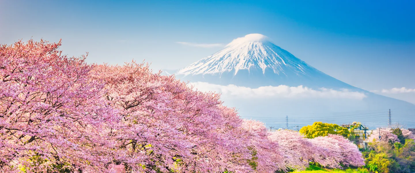 Japan — visa destination