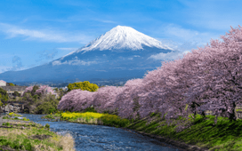 Amazing Japan