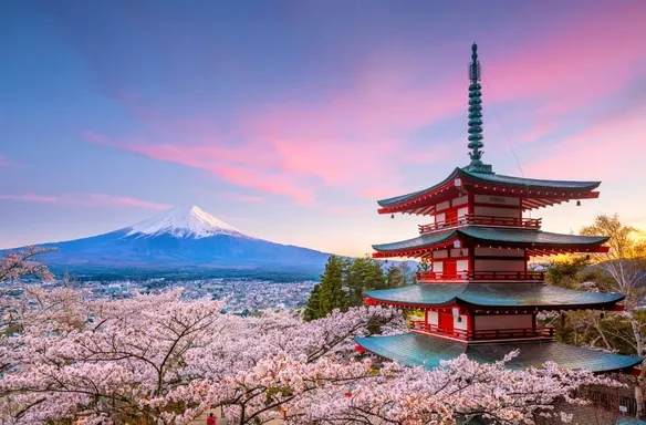Japan Visa