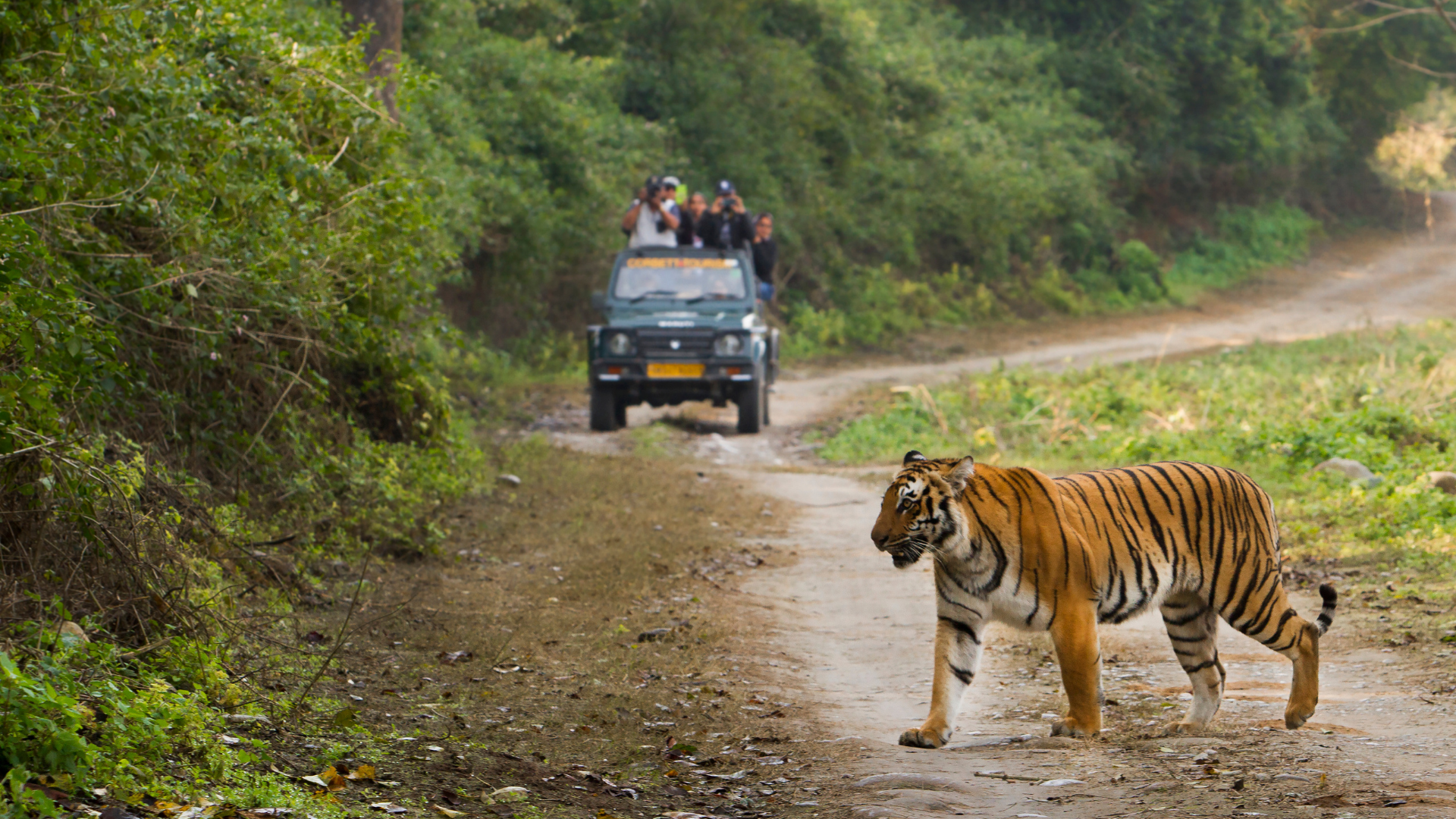 Jim Corbett National Park