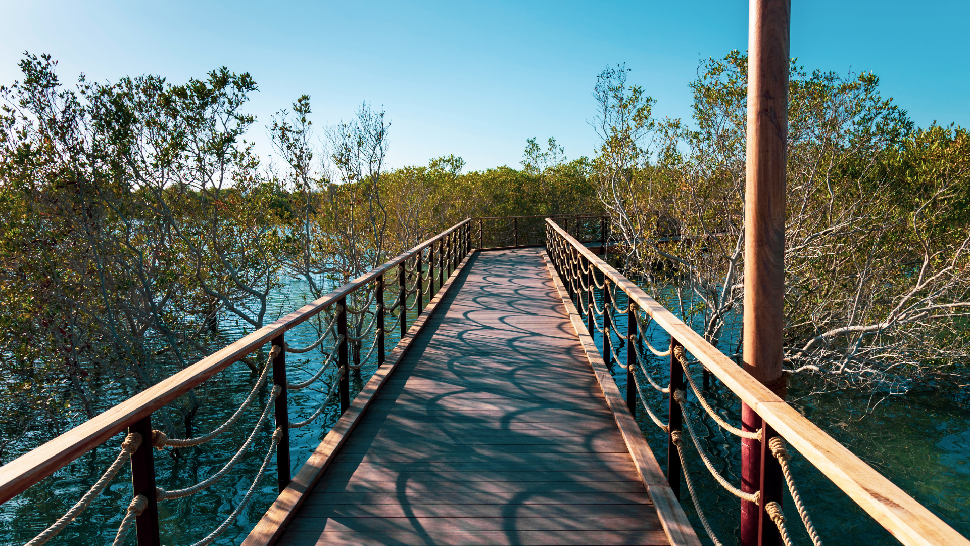 Jubail Mangrove Park