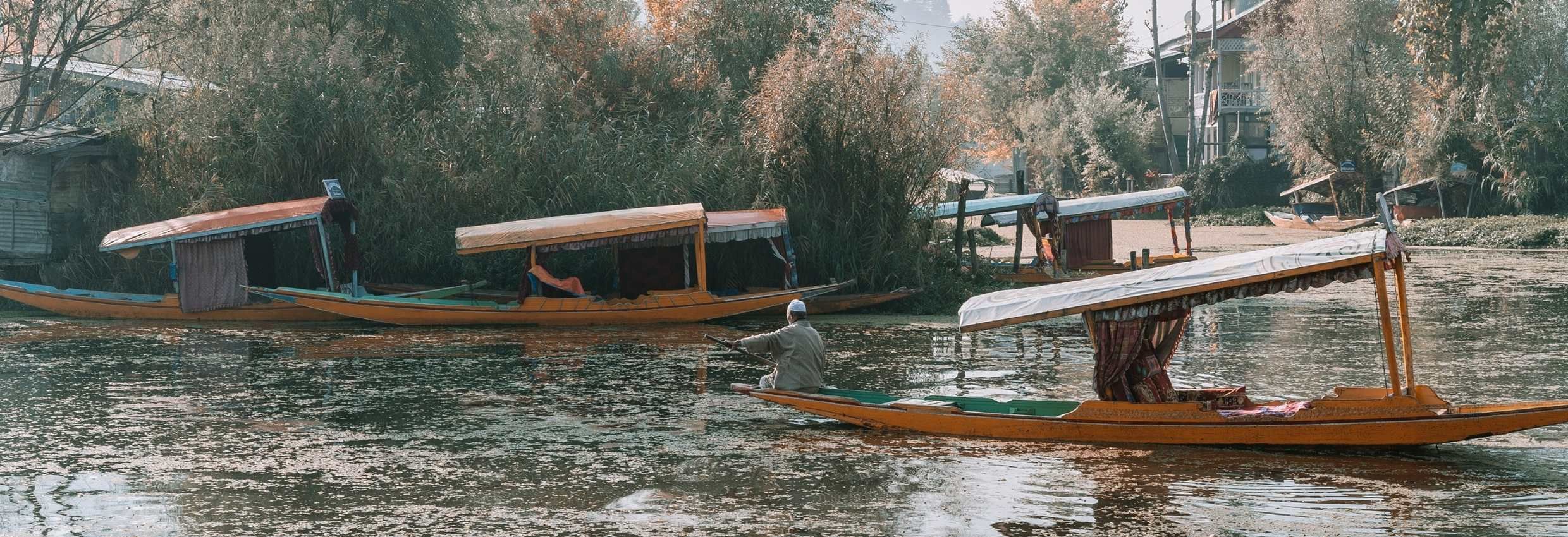 Kashmir