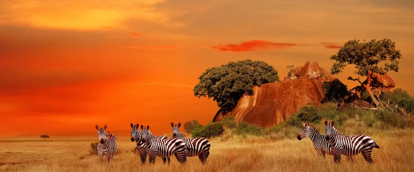 Kenya — visa destination