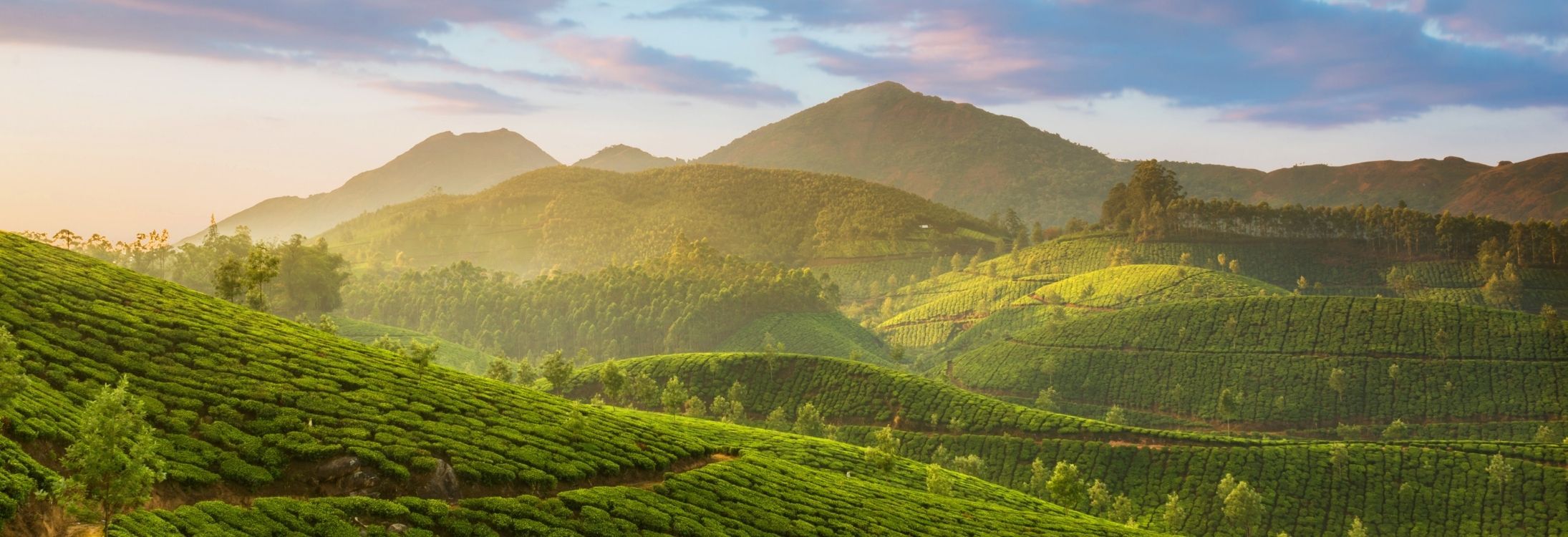 Kerala
