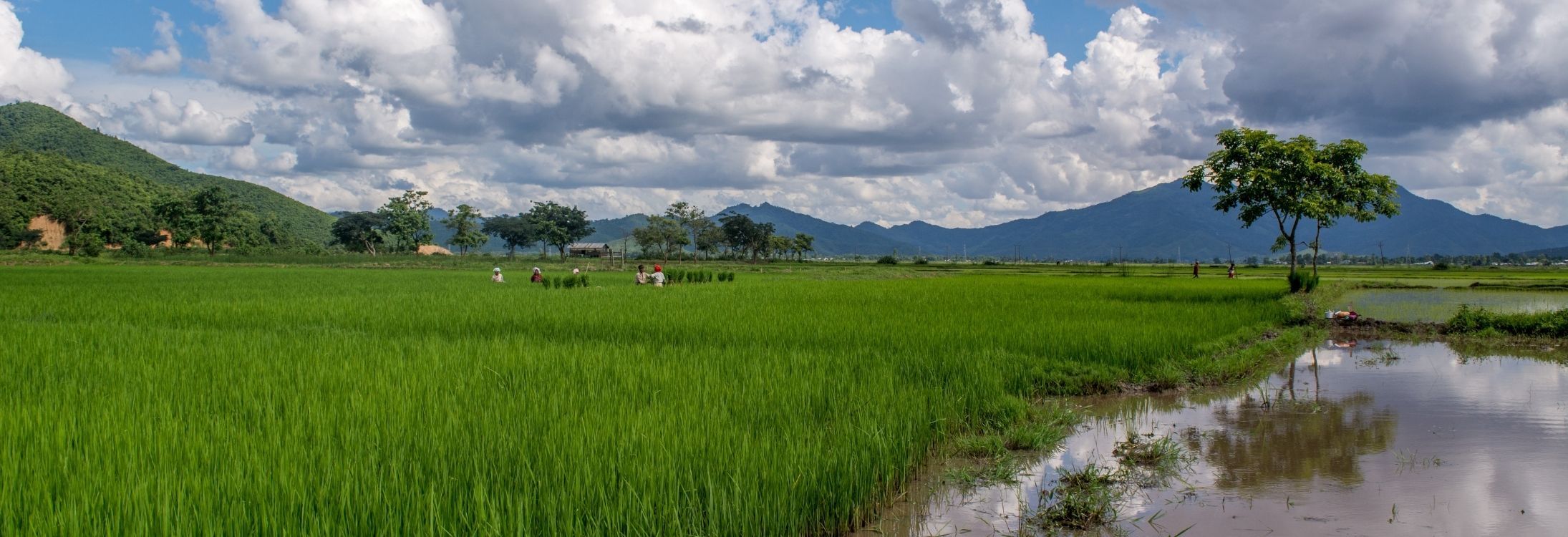 Manipur