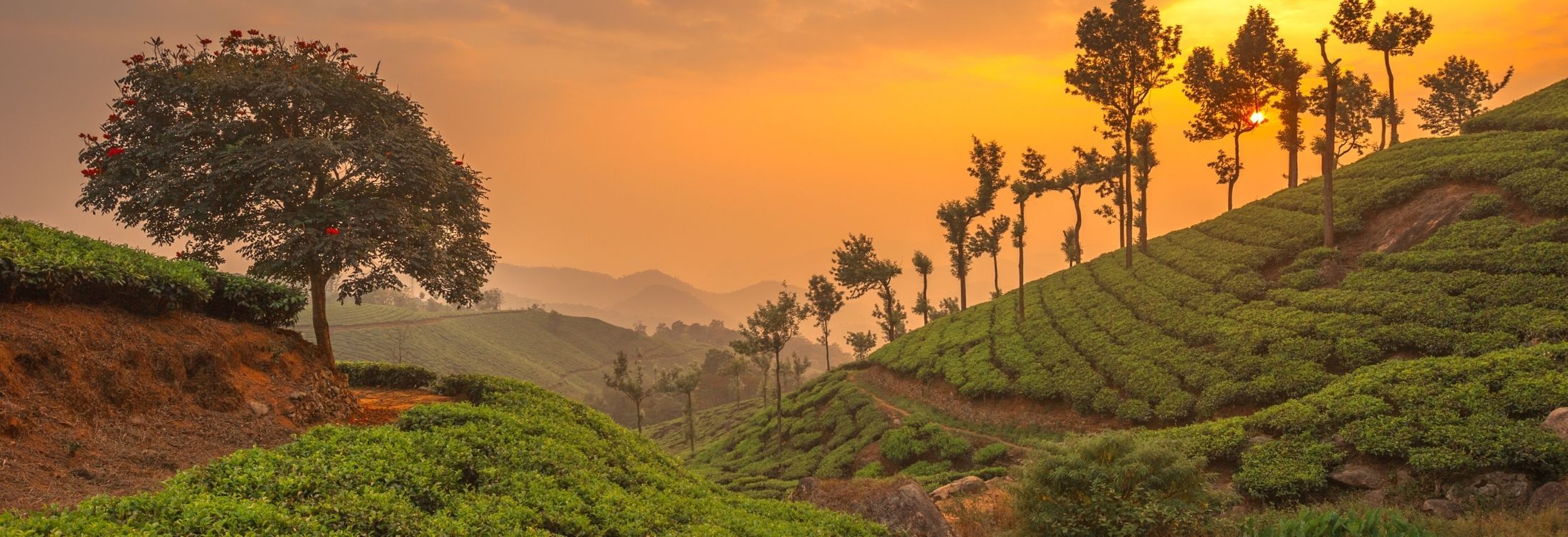 Munnar
