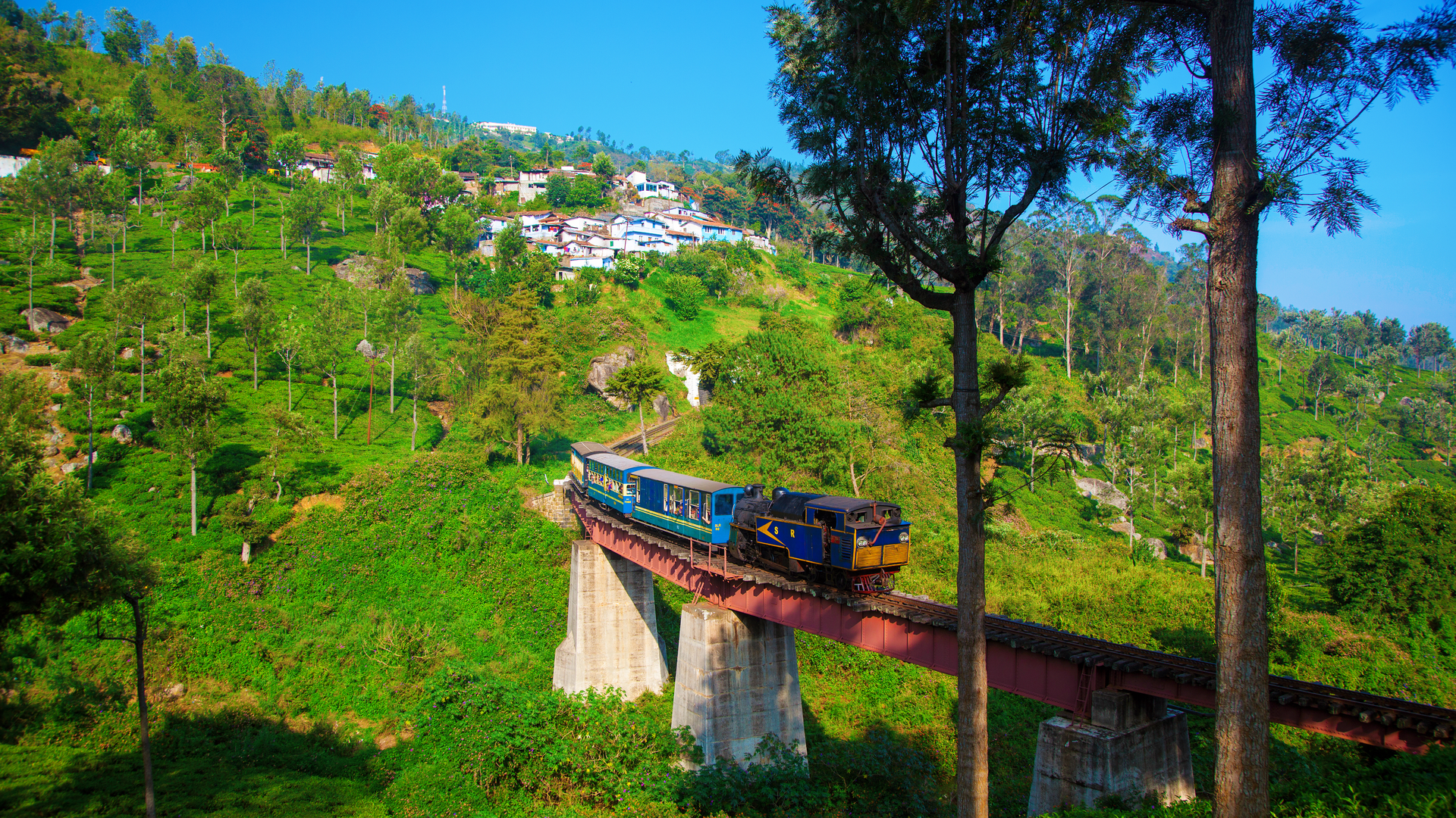 Nilgiri Mountain Railway