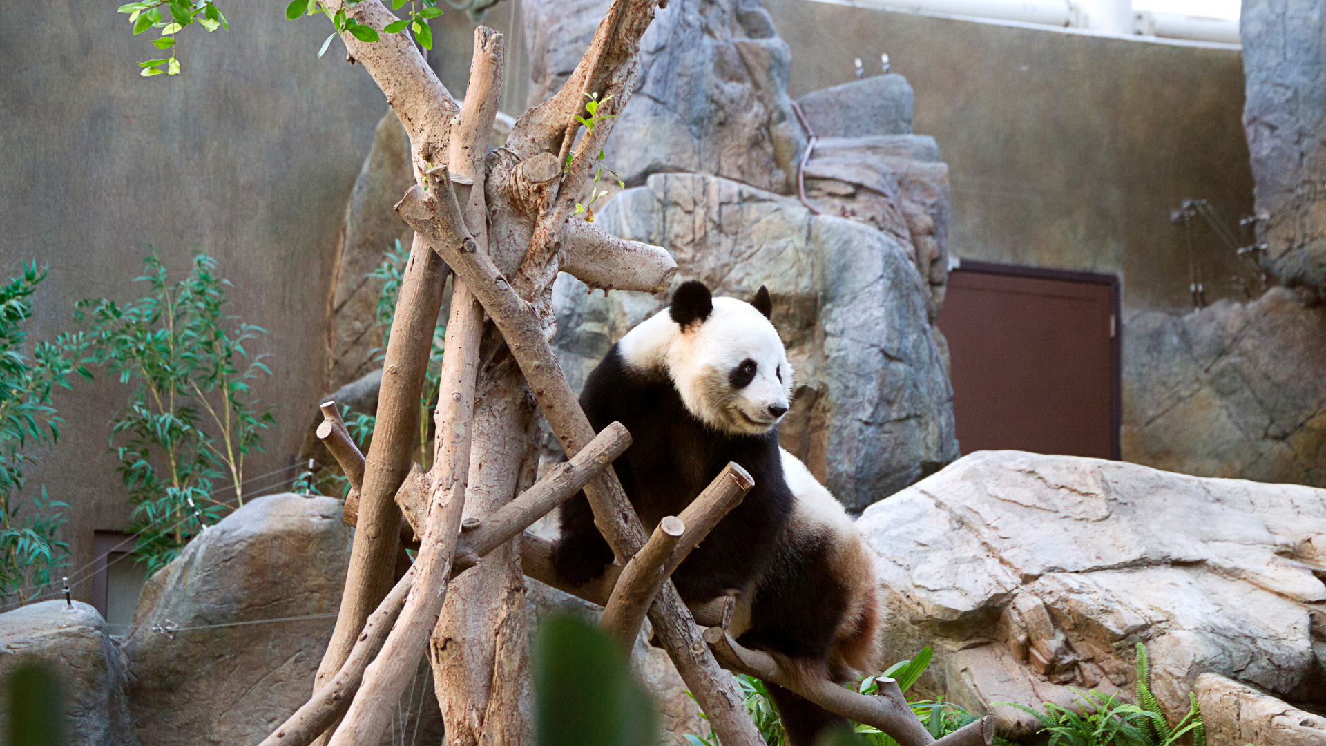 Ocean Park, Hong Kong