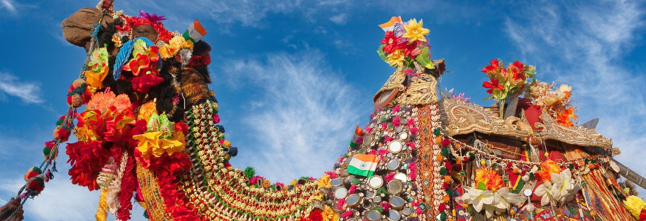 Pushkar Camel Festival