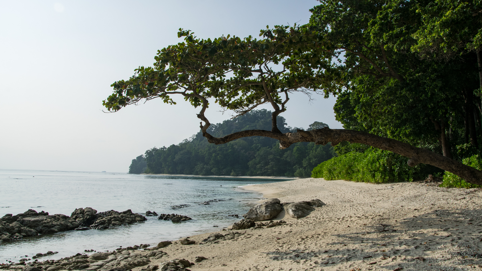 Radhanagar Beach
