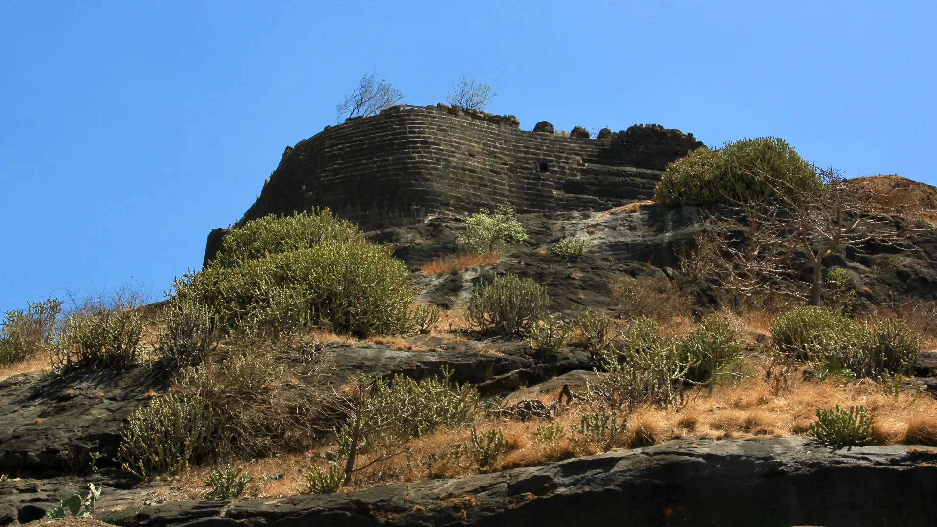 Shivneri