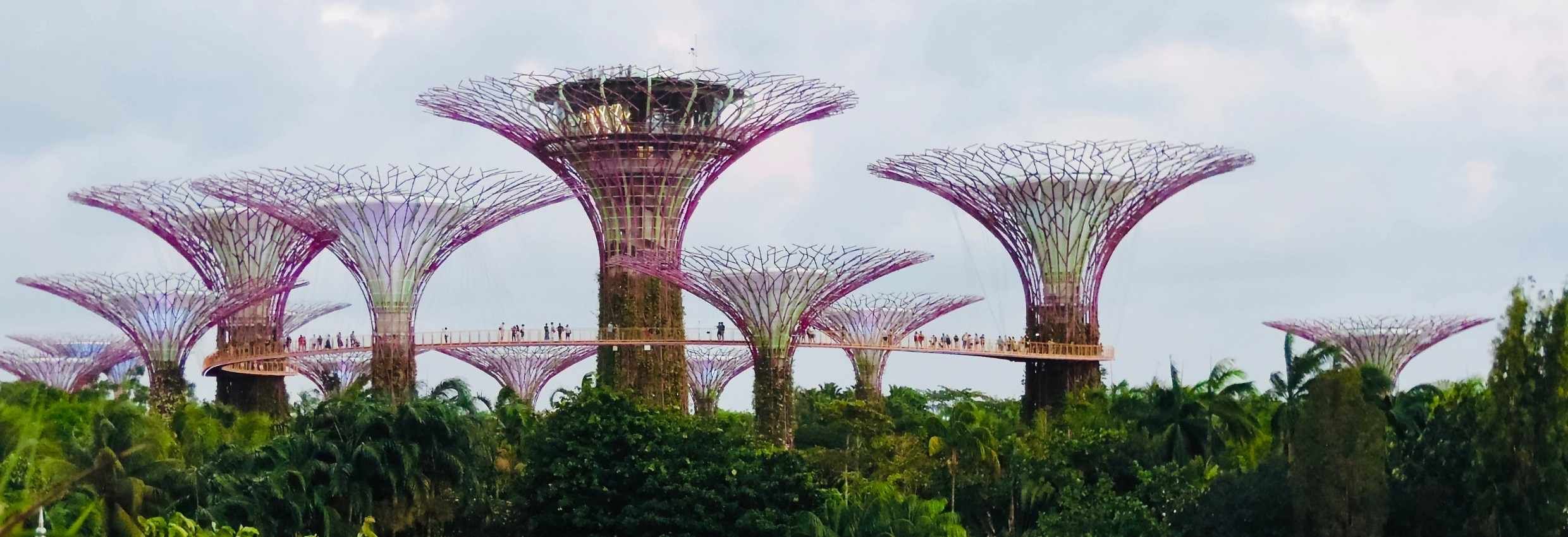 Supertree Grove