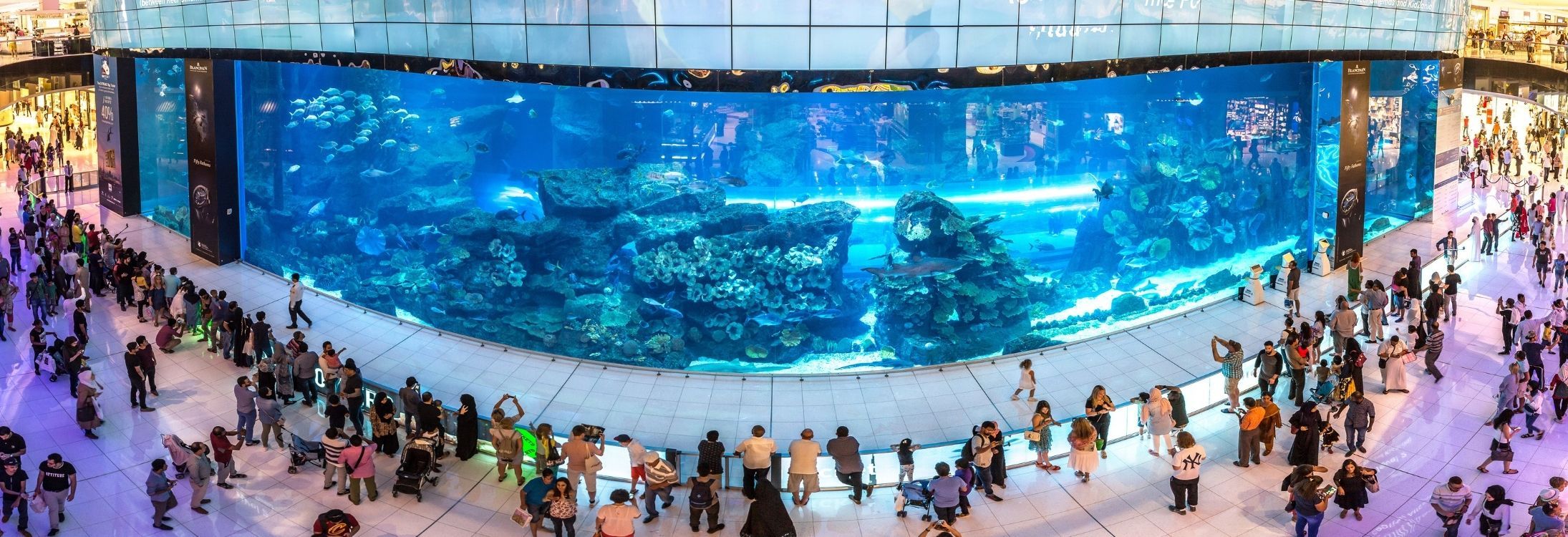The Dubai Mall Aquarium