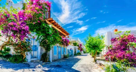 Best Of Turkey